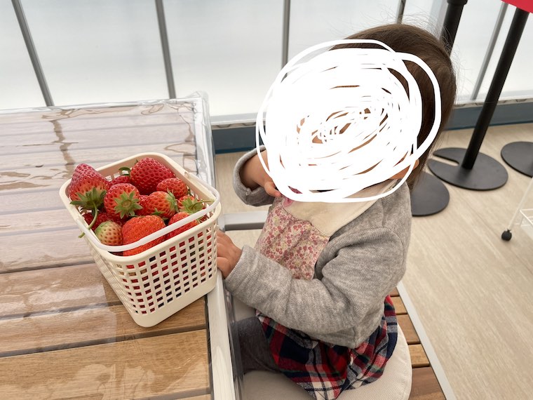 イチゴを食べる子ども