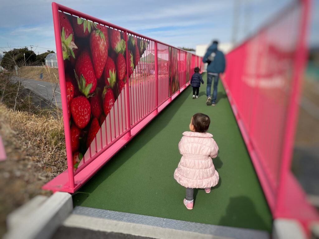 イチゴの橋を渡る子ども達